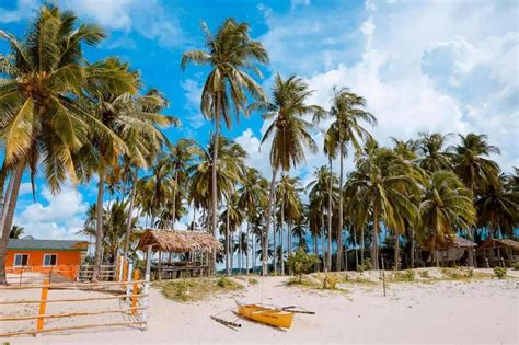 can a foreigner own a restaurant in the philippines|Explainer: Can foreigners own businesses in the .